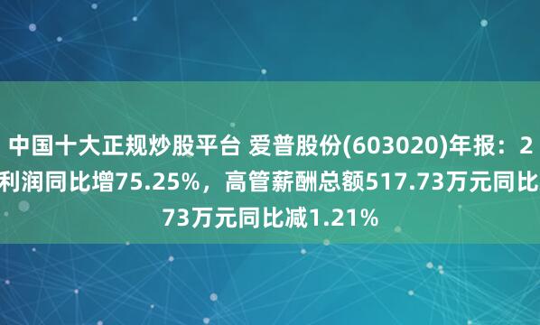 中国十大正规炒股平台 爱普股份(603020)年报：2024年净利润同比增75.25%，高管薪酬总额517.73万元同比减1.21%