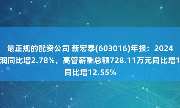 最正规的配资公司 新宏泰(603016)年报：2024年净利润同比增2.78%，高管薪酬总额728.11万元同比增12.55%