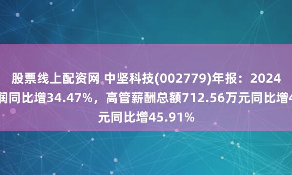 股票线上配资网 中坚科技(002779)年报：2024年净利润同比增34.47%，高管薪酬总额712.56万元同比增45.91%