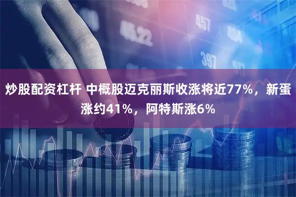 炒股配资杠杆 中概股迈克丽斯收涨将近77%，新蛋涨约41%，阿特斯涨6%